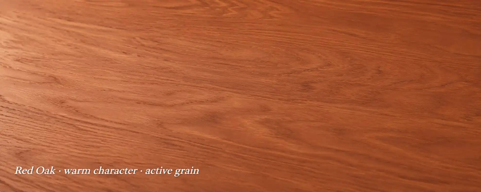 Red Oak flooring sample with warm character and active grain